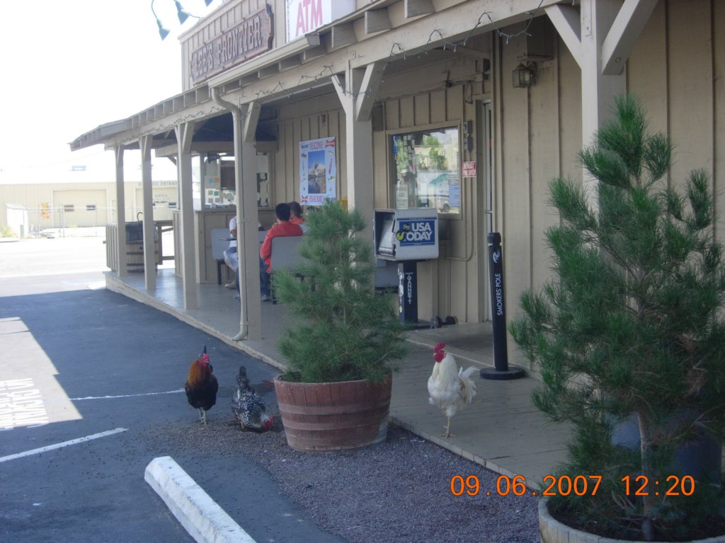 ca_trip2007421.jpg