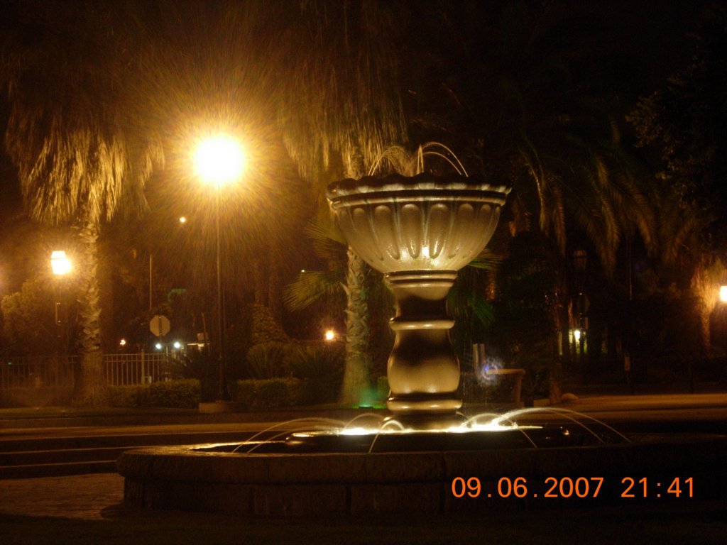 ca_trip2007480.jpg
