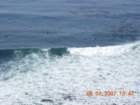 ca_trip2007548_small.jpg