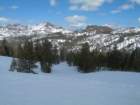 kirkwoodapril08025_small.jpg