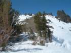 kirkwoodapril08043_small.jpg