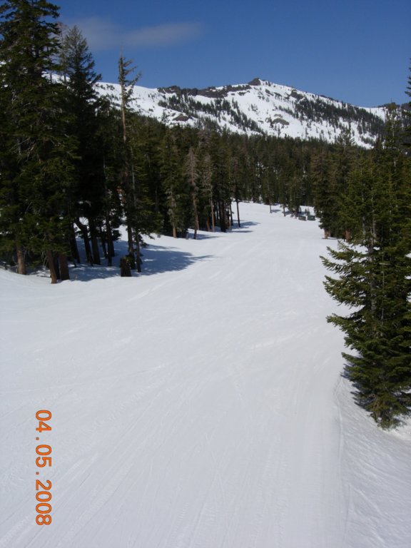 kirkwoodapril08050.jpg