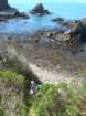 pointarena004_small.jpg