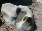 pointarena011_small.jpg