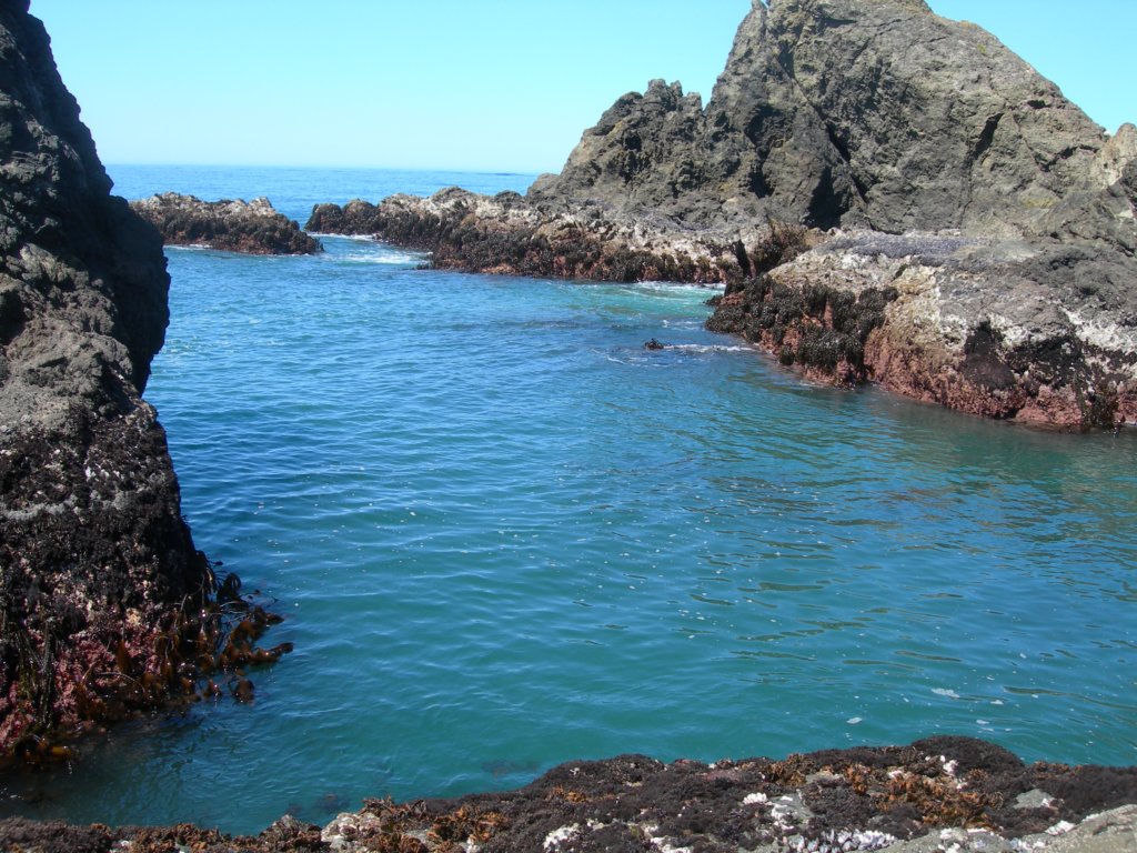 pointarena036.jpg
