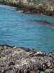 pointarena042_small.jpg