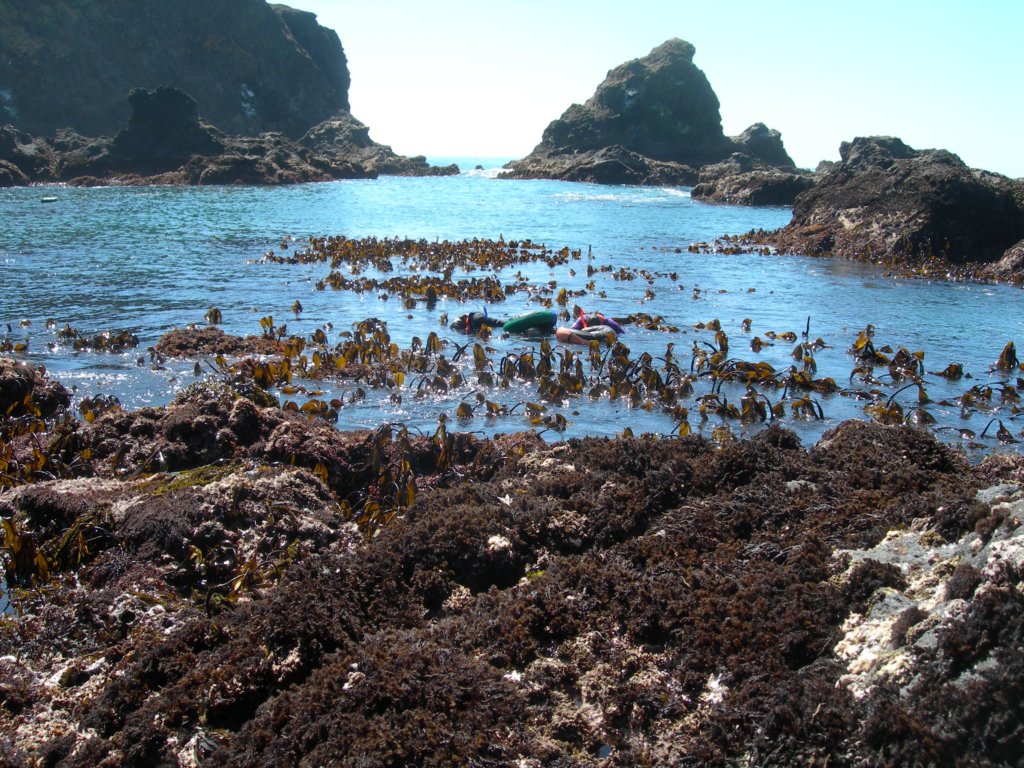 pointarena050.jpg
