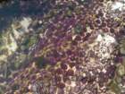 pointarena070_small.jpg