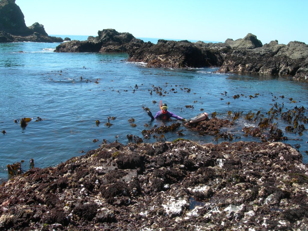 pointarena071.jpg