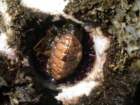 pointarena073_small.jpg
