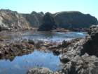 pointarena082_small.jpg