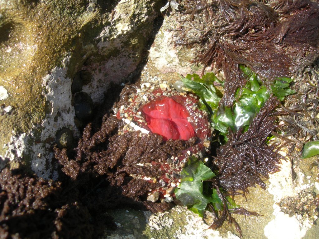 pointarena086.jpg