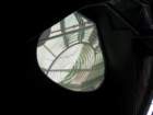 pointarena129_small.jpg