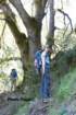 fallstrail_small.jpg
