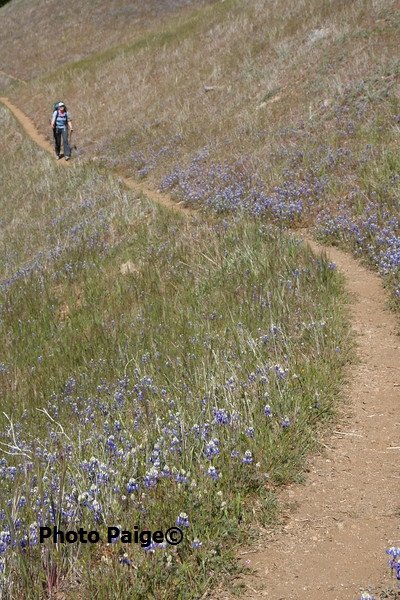hikeback3.jpg