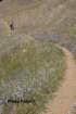 hikeback3_small.jpg