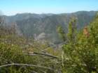 ventana011_small.jpg