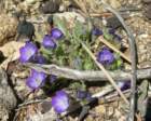 ventana013_small.jpg