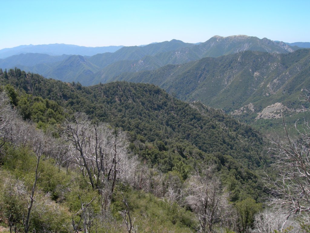 ventana014.jpg