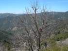 ventana015_small.jpg