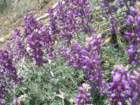 ventana021_small.jpg