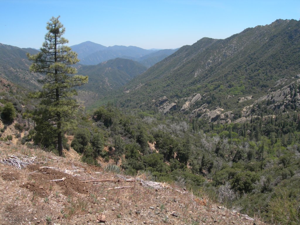 ventana031.jpg