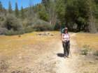 ventana041_small.jpg