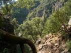 ventana051_small.jpg