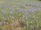 ventana097_small.jpg