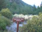 sequoianp003_small.jpg