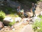 sequoianp008_small.jpg
