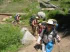 sequoianp009_small.jpg