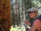 sequoianp018_small.jpg