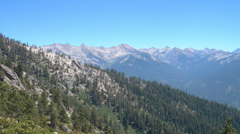 sequoianp028.jpg