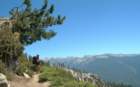 sequoianp029_small.jpg