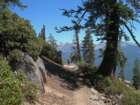 sequoianp031_small.jpg