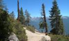 sequoianp032_small.jpg