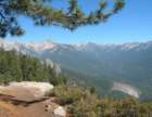 sequoianp044_small.jpg