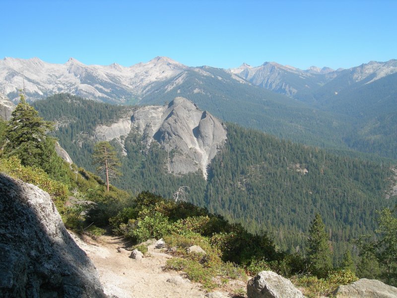 sequoianp060.jpg