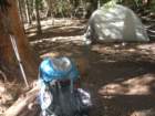 sequoianp074_small.jpg