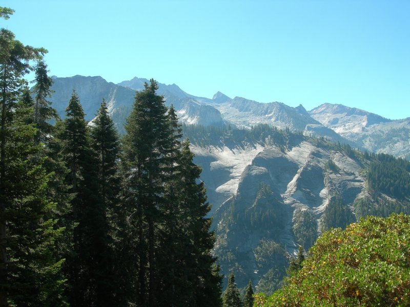 sequoianp083.jpg
