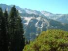 sequoianp087_small.jpg