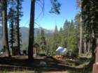 sequoianp088_small.jpg