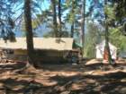 sequoianp089_small.jpg