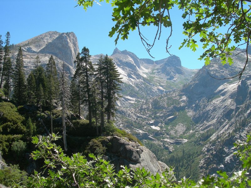 sequoianp097.jpg