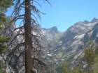 sequoianp107_small.jpg