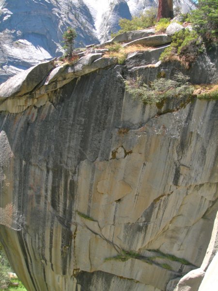 sequoianp108.jpg