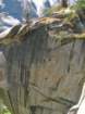 sequoianp108_small.jpg