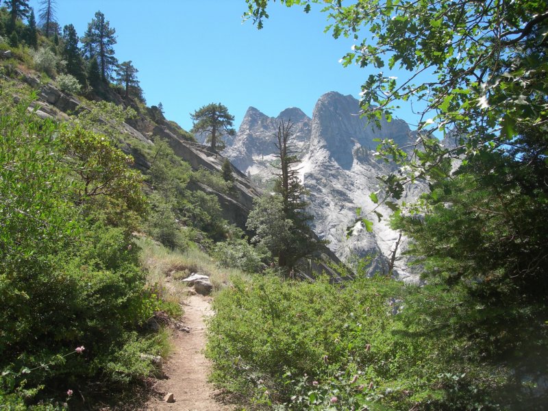 sequoianp121.jpg