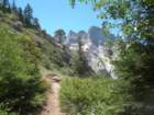 sequoianp121_small.jpg